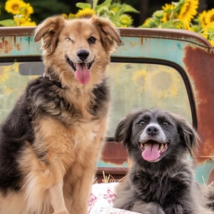 Fundraising Page: Brittany Ketcham